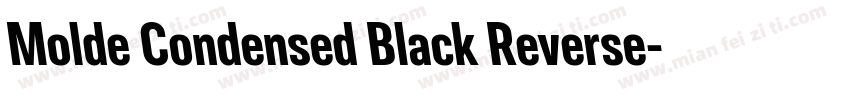 Molde Condensed Black Reverse字体转换